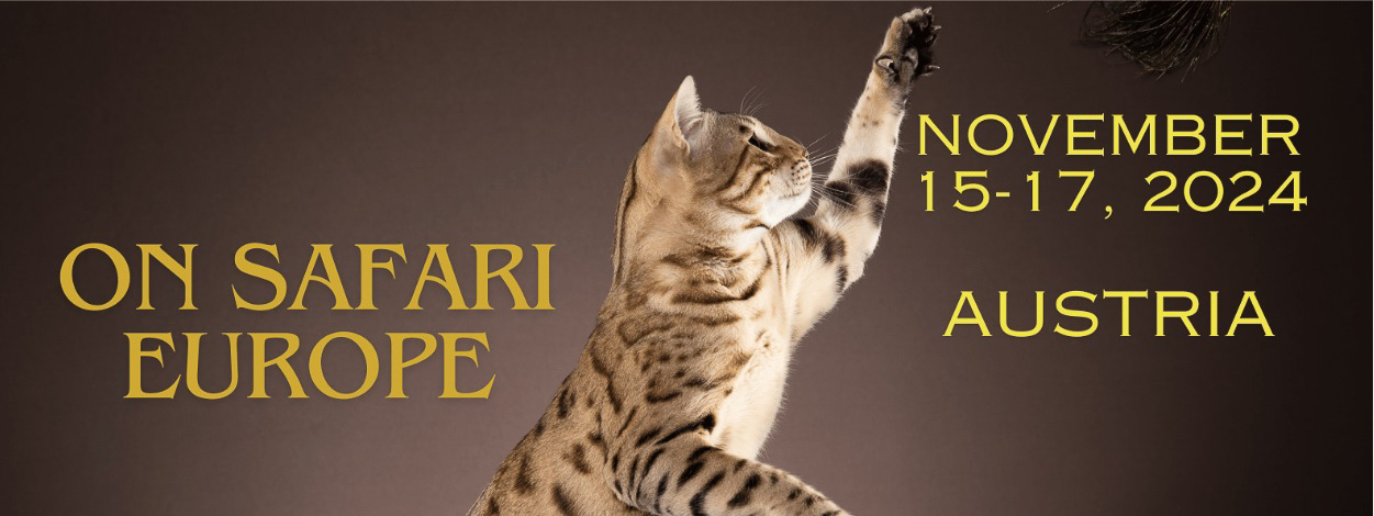 On safari europe 2024